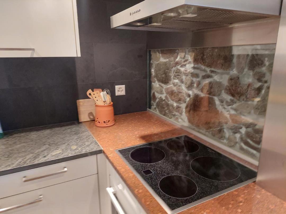 Revier Im Baeren-Quartier Διαμέρισμα Haslen Εξωτερικό φωτογραφία